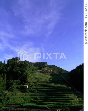 Rice terraces 15116417