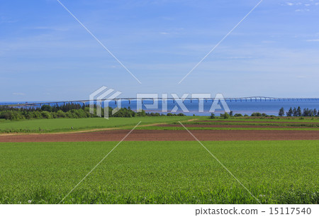 愛德華王子島 15117540