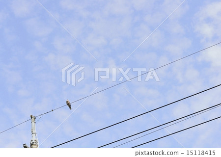 A pigeon of electric wire 15118415