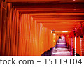 Torii 15119104