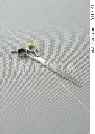 Trimmer / Veterinarian 15119141