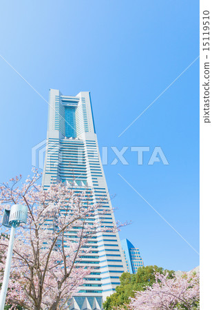 Landmark tower and cherry blossoms 15119510