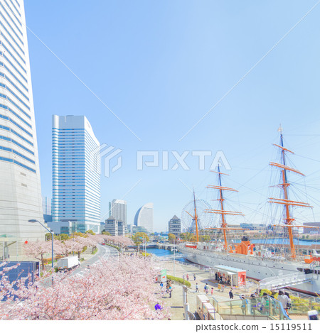 Queen's tower and cherry blossoms 15119511