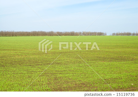 green field green field 15119736