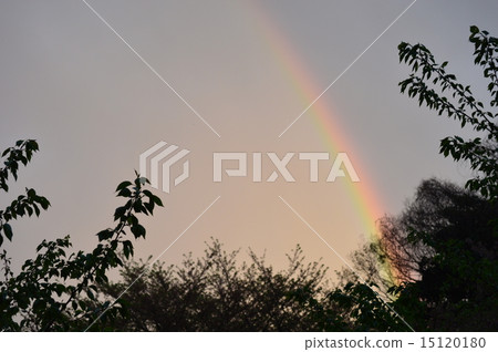 Rainbow  15120180