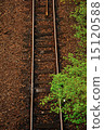 新鮮的綠色和鐵路軌道 15120588
