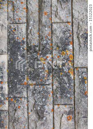 Abstract stone grunge texture with mold  15122023