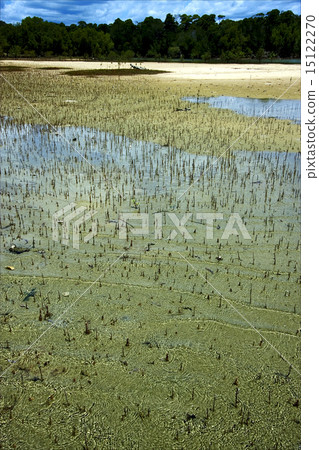 mamoko madagascar lagoon  and coastline 15122270