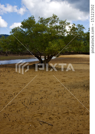 reserve in madagascar 15122302
