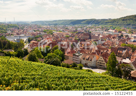 Beautiful geman city and wine fields 15122455