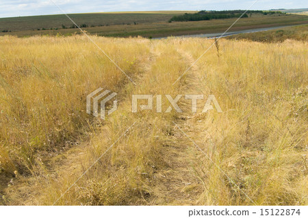 steppe road 15122874