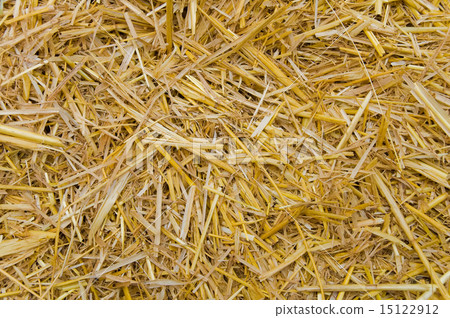straw 15122912