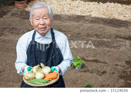 Home garden Home garden 15124036