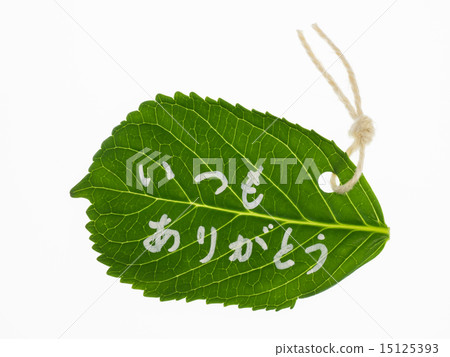 Thank you as always Thank you as always 15125393