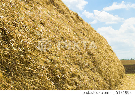 straw 15125992
