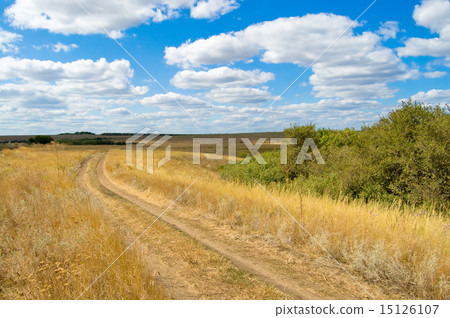 road in steppe 15126107