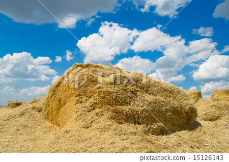 haystack haystack 15126143