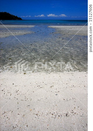 beach 15127606