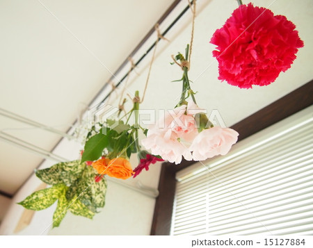 Become a dry flower 15127884