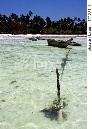 beach coastline and boat in  zanzibar 15128146