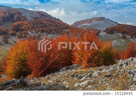 The Mehedinti Mountains 15128445