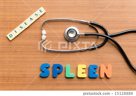 spleen 15128889