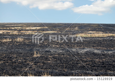 fire burning fire burning 15128919