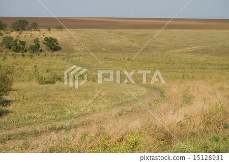 steppe winding road 15128931
