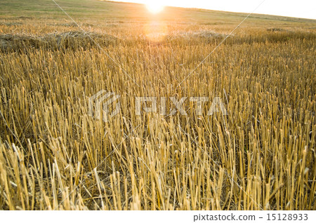 sunsets over horizon 15128933