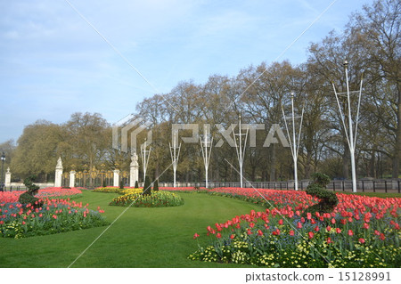 Buckingham Palace 15128991