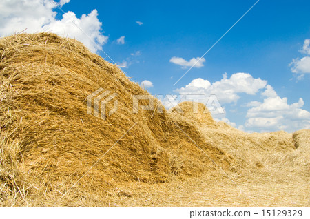 gold stack 15129329