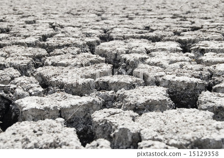 uncultivated plot uncultivated plot 15129358
