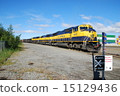 America Alaska Railway 15129436