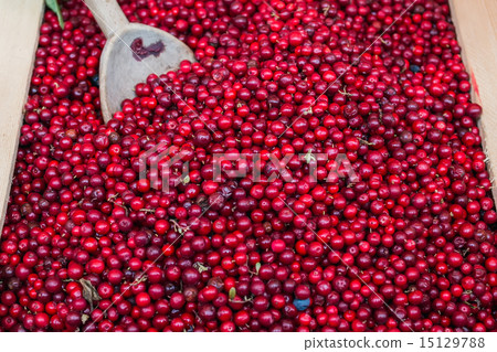Fresh forest lingenberries at the market stall 15129788