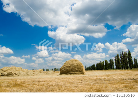 stack of straw stack of straw 15130510