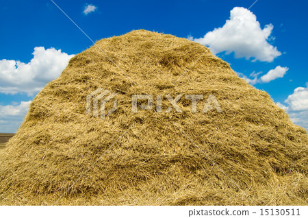 stack of straw stack of straw 15130511