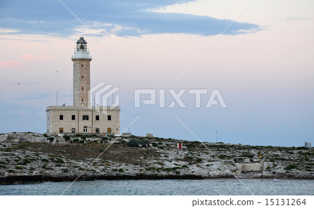 Twilight over the lighthouse in Vieste Twilight over the lighthouse in Vieste 15131264