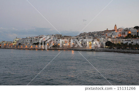 Twilight over the Vieste town 15131266