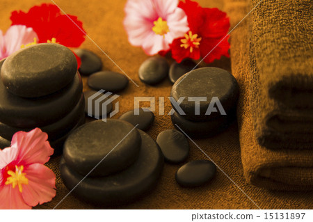 Beauty Beauty 15131897