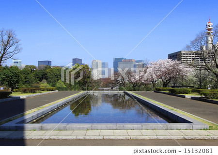 Diet front yard Diet front yard 15132081