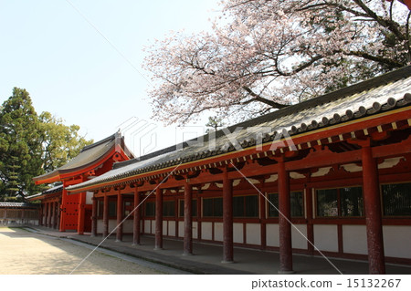 石清水八幡宮 15132267