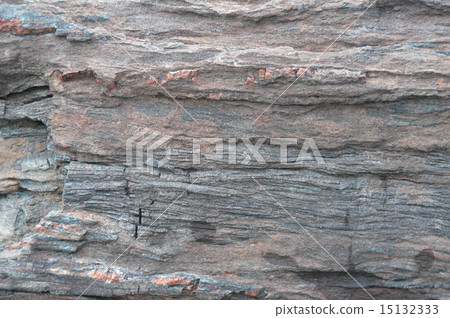 Fisher Tree(田澤富士山博物館·山梨縣南都留郡礦石博物館/ Narusawa村) Fisher Tree(田澤富士山博物館·山梨縣南都留郡礦石博物館/ Narusawa村) 15132333