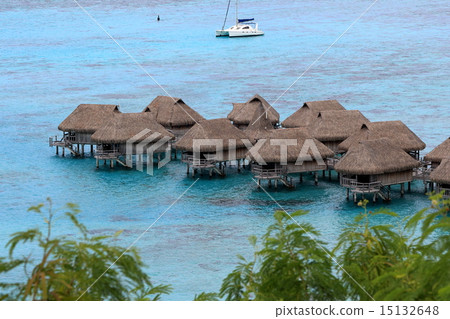  莫雷阿島 15132648