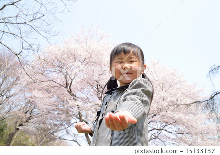 Sakura back girl (entrance ceremony image) Sakura back girl (entrance ceremony image) 15133137