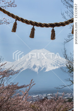 櫻花盛開Shinclakuyama淺間神社 櫻花盛開Shinclakuyama淺間神社 15133657