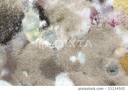 Moldy from juice Moldy from juice 15134505