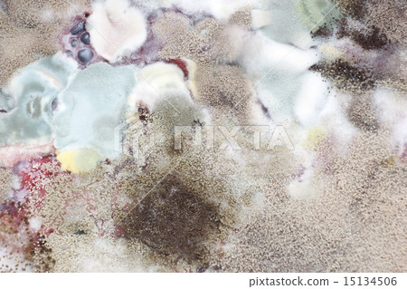 Moldy from juice 15134506