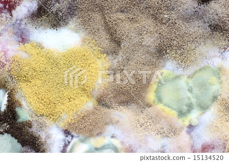 Moldy from juice Moldy from juice 15134520