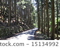 Forest road 15134992