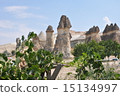 Cappadocia 15134997